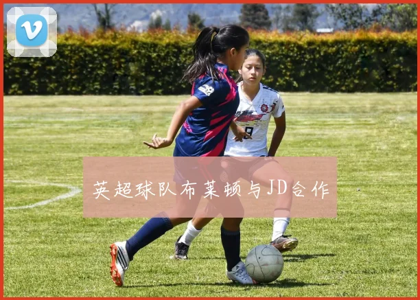 英超球队布莱顿与JD合作